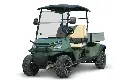 Cargo golf cart